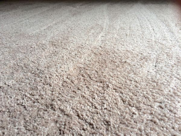 Plush Carpet Installation in San Luis Obispo