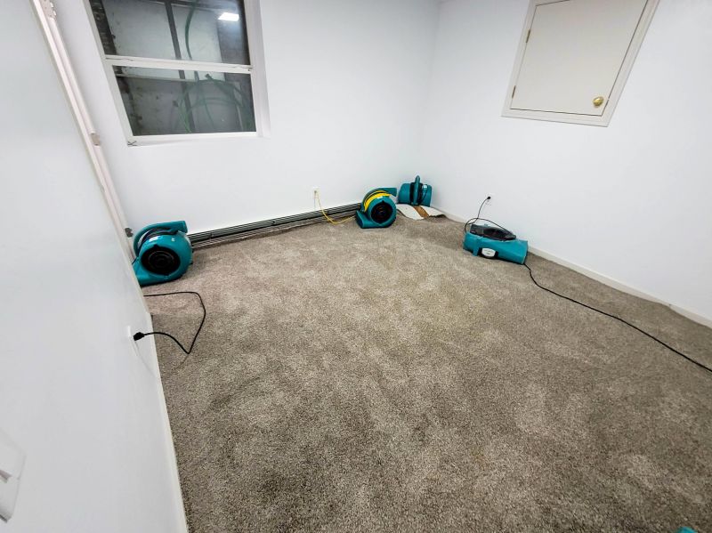 Protective Carpet Treatments